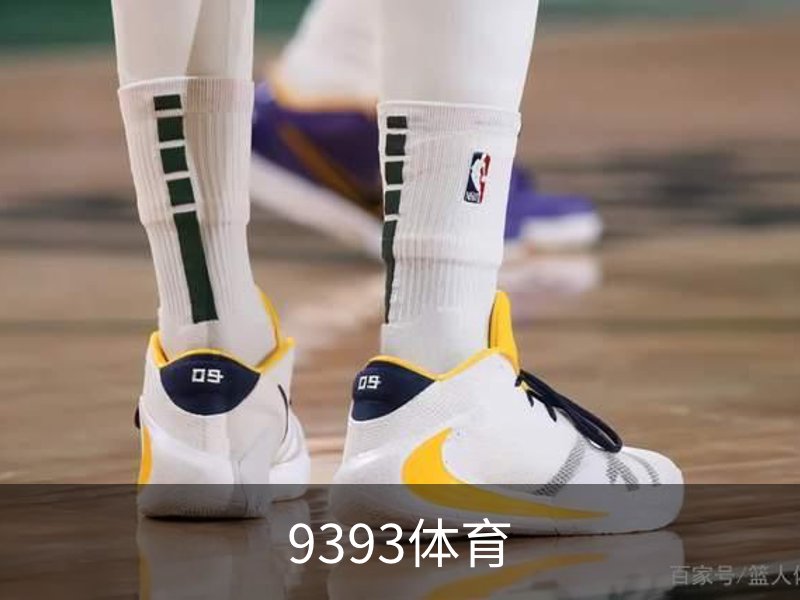 9393体育概况